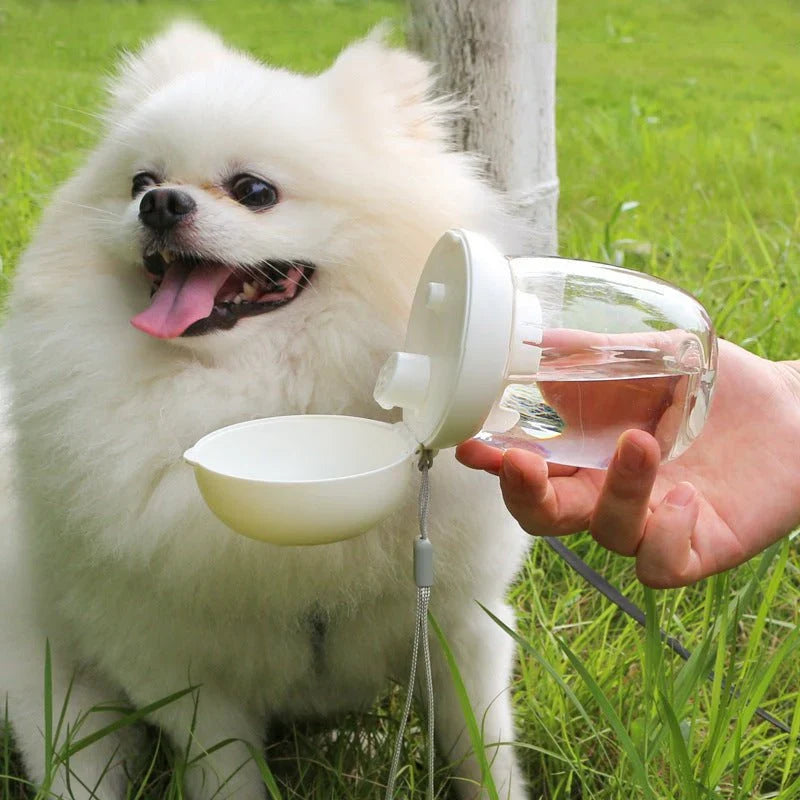 Foldable Portable Pet Water Bowl for Dogs & Cats – Outdoor Travel Drinking Cup