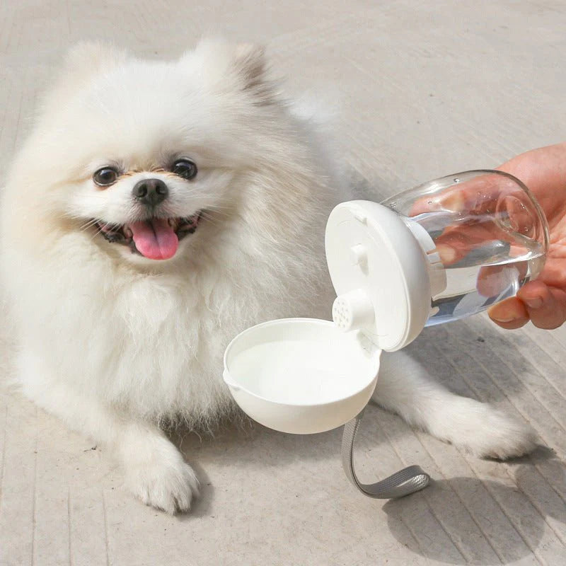 Foldable Portable Pet Water Bowl for Dogs & Cats – Outdoor Travel Drinking Cup